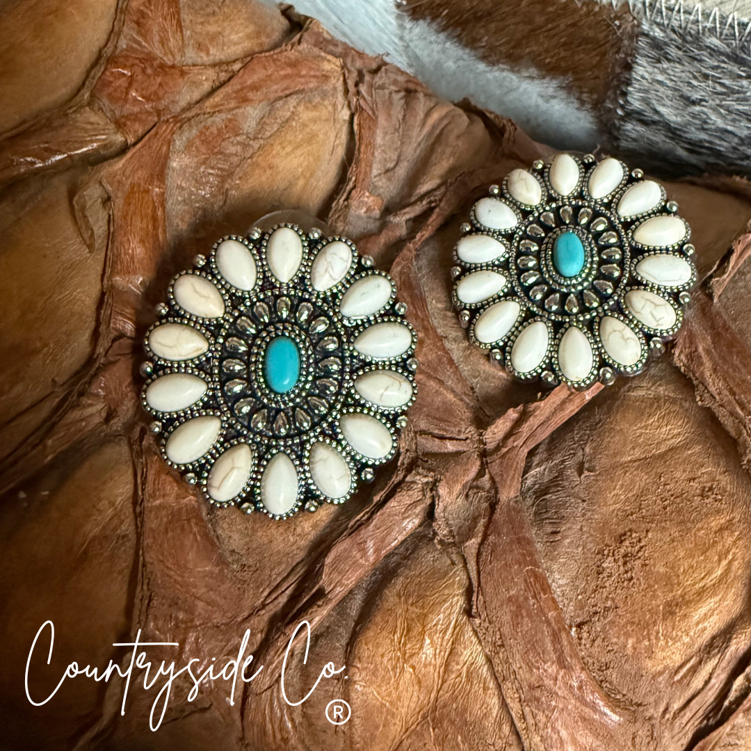 Desert Sky Stone Earrings