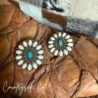 Desert Sky Stone Earrings