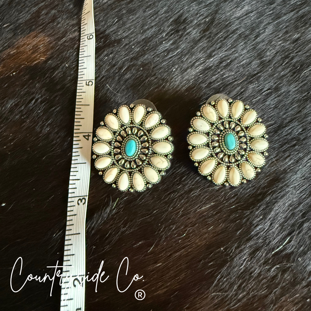 Desert Sky Stone Earrings